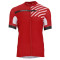castelli-free-ar-41-jersey-fz-4517015-023-l