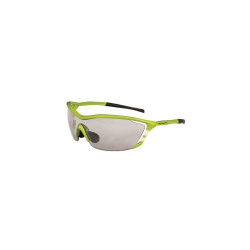Endura Pacu Glasses Single Lens Sets