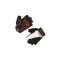 endura-wms-xtract-mitt-e6069pu4