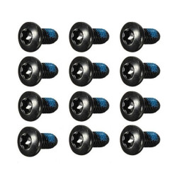 ASHIMA - M5X10 Steel Rotor Bolt - Torx T25 - Black - 12 Pack